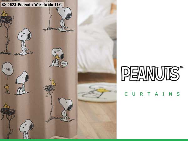 Peanuts TOP